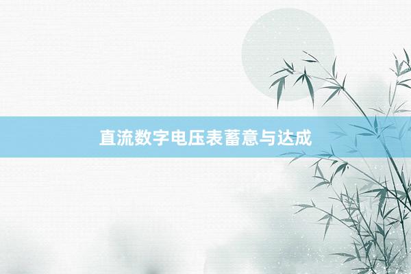 直流数字电压表蓄意与达成