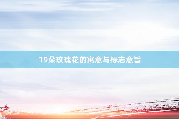 19朵玫瑰花的寓意与标志意旨