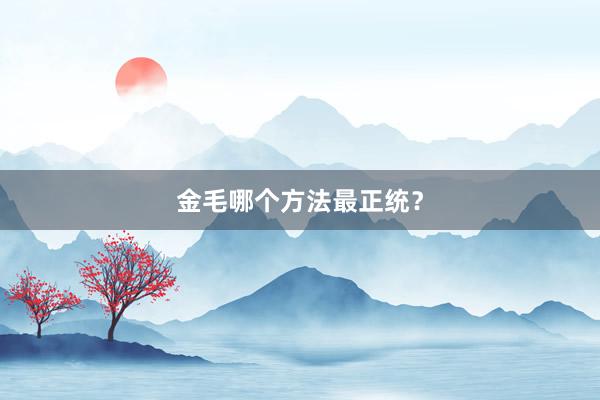 金毛哪个方法最正统？