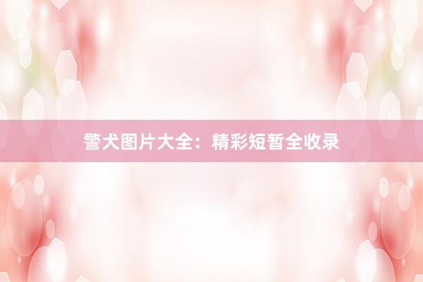 警犬图片大全：精彩短暂全收录