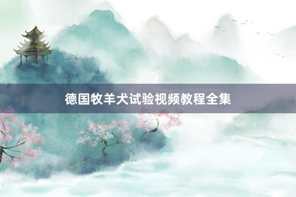 德国牧羊犬试验视频教程全集