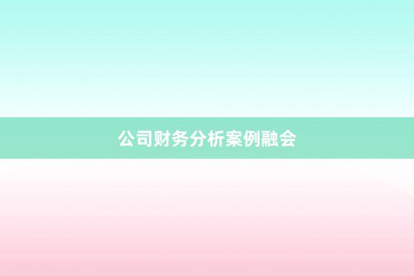 公司财务分析案例融会